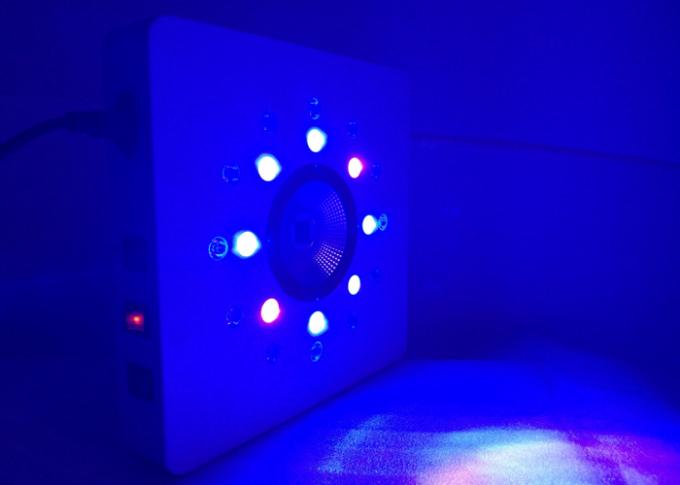 8 leds 3w per cluster bekerja