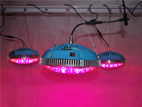 ufo dipimpin tumbuh terang