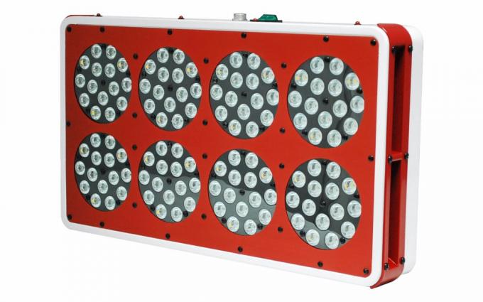 Apollo dipimpin tumbuh lampu