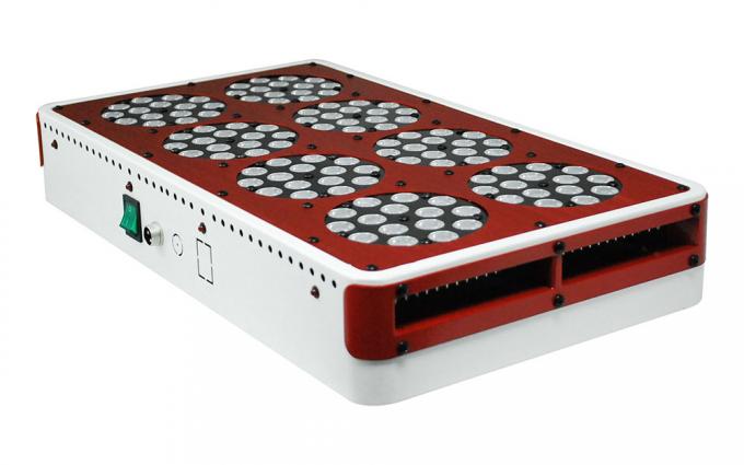 Apollo dipimpin tumbuh lampu