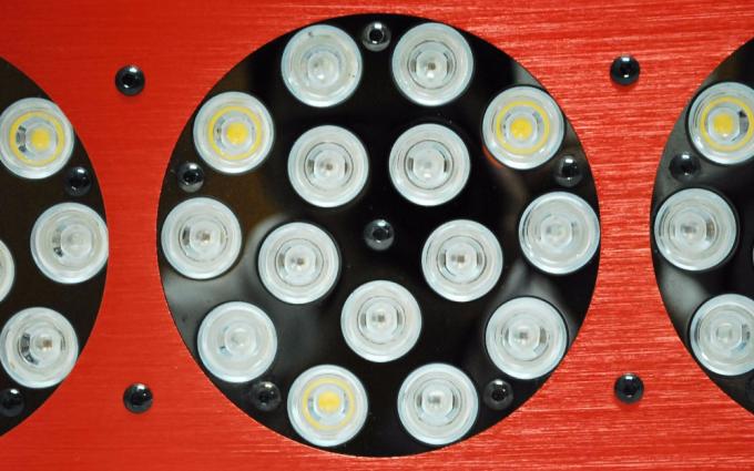 Apollo dipimpin tumbuh lampu