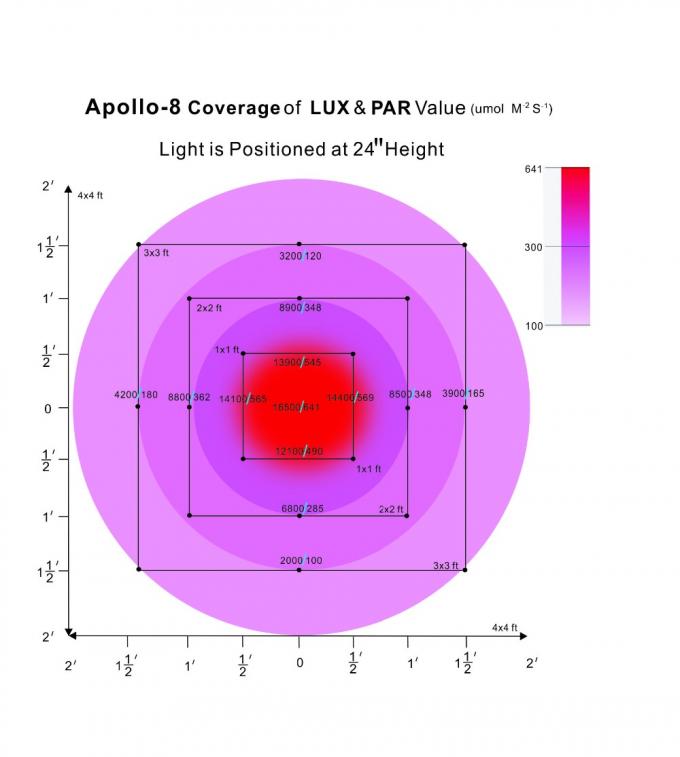 Apollo dipimpin tumbuh lampu