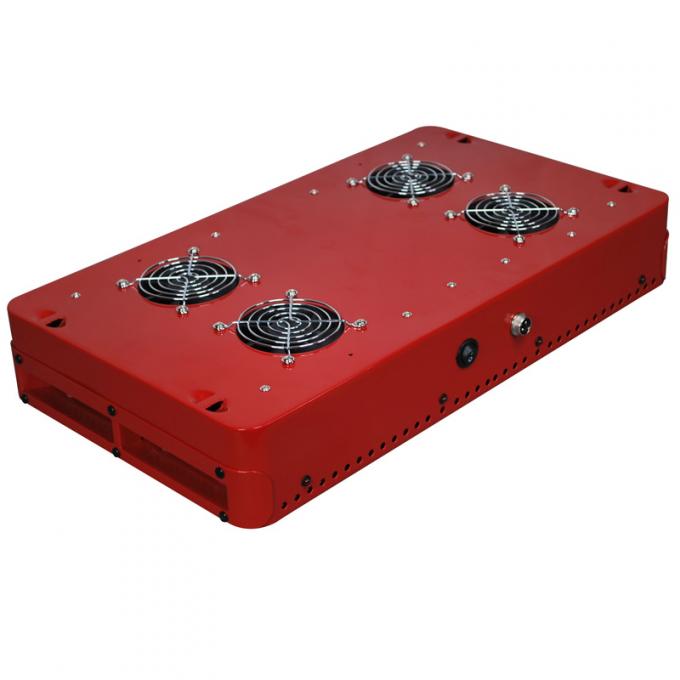 Apollo dipimpin tumbuh lampu