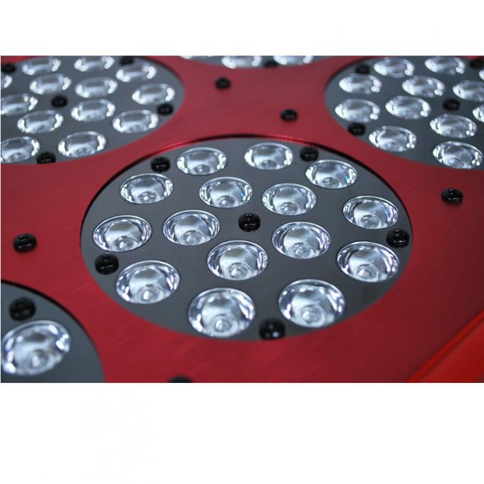 Apollo dipimpin tumbuh lampu
